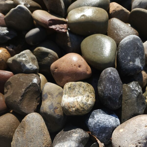 1000010350 2 scaled e1713882569846